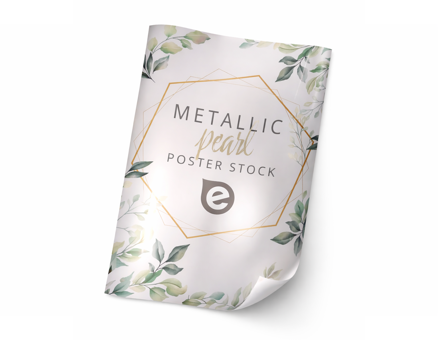 productImage6252