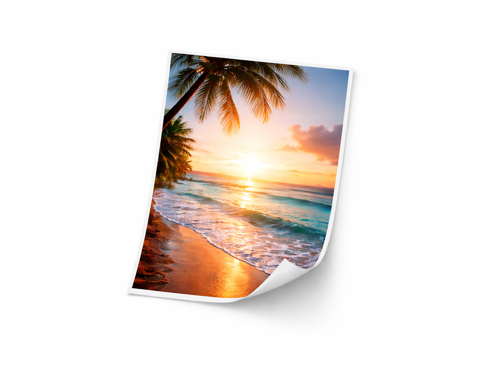 productImage6250