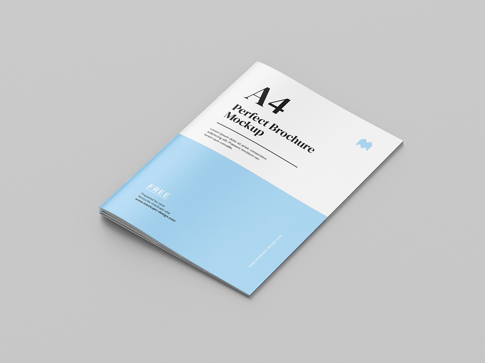 productImage506